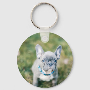 Chaveiro Conjunto de um Bulldog Francês