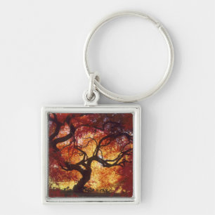 Chaveiro Connecticut: Darien, bordo-japonês 'Acer