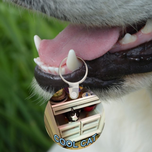 Chaveiro Cool Cat keychain (Criador carregado)