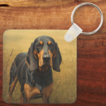Coonhound Preto e Castanho