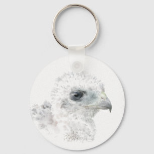 Chaveiro Coopers Hawk Pintinho