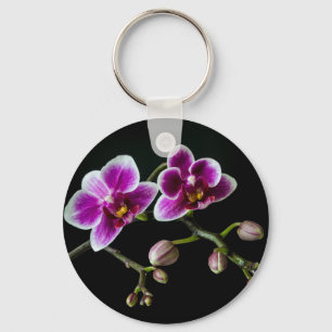 Chaveiro Cor branca rosa-orquídea em preto pálido e suave