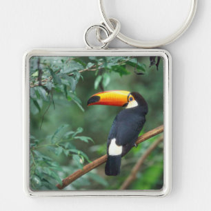 CHAVEIRO COR COMPLETA DA FOTO DE TOCO TOUCAN