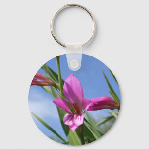 Chaveiro cor-de-rosa das flores do primavera