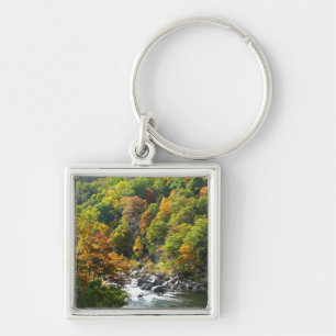 Chaveiro Cor do Outono no Parque Estadual de Ohiopyle