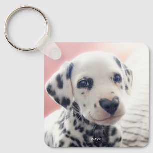 Chaveiro Coração de Dalmata Nariz