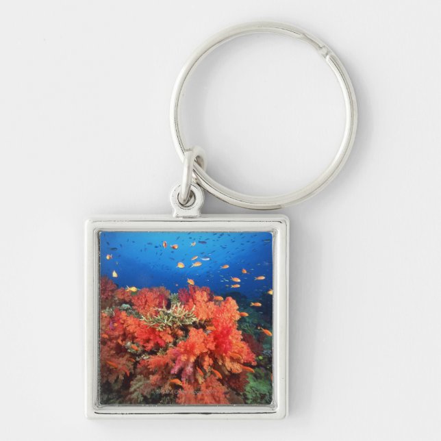 Chaveiro Coral e peixes (Frente)