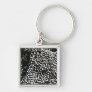 Chaveiro Coral Preto e Branco I Foto Abstrata da Natureza