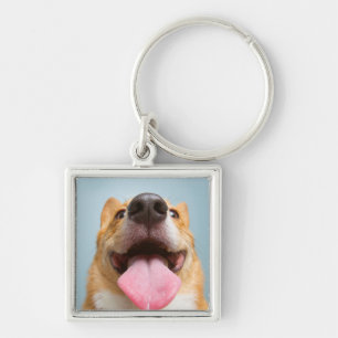 Chaveiro Corgi muito feliz das imagens   de Getty