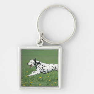 Chaveiro Corredor Dalmatian