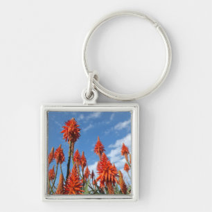 Chaveiro Corrente-chave Aloe Arborescens