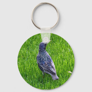 Chaveiro Corrente chave com pássaro