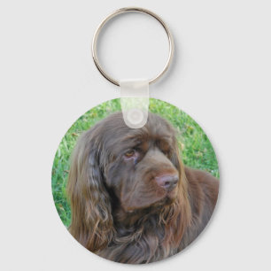 Chaveiro Corrente chave de Spaniel de Sussex