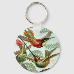 Chaveiro Corrente chave do colibri