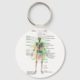 Chaveiro Corrente chave do Esqueleto Masculino Humano