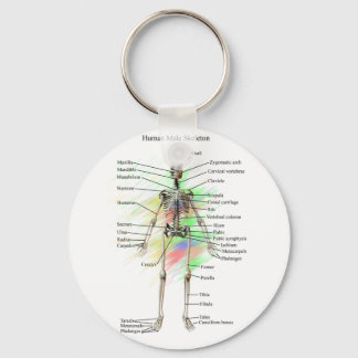 Chaveiro Corrente chave do Esqueleto Masculino Humano