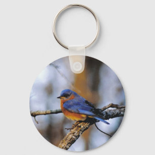 Chaveiro Corrente chave do pássaro de Missouris