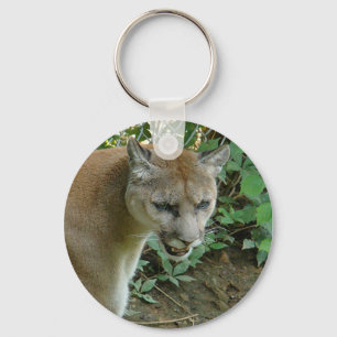 Chaveiro Corrente chave do puma
