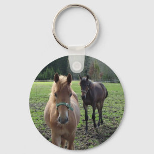 Chaveiro Corrente chave dos cavalos
