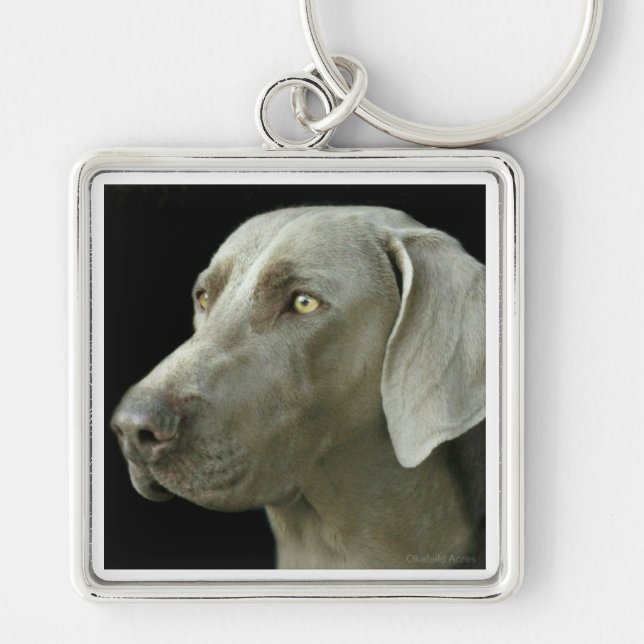Chaveiro Corrente chave - estudo principal Weimaraner (Frente)
