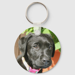 Chaveiro Corrente chave preta de Labrador