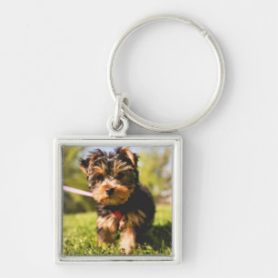 Chaveiro Corrente de chave Cachorro Cortado 5