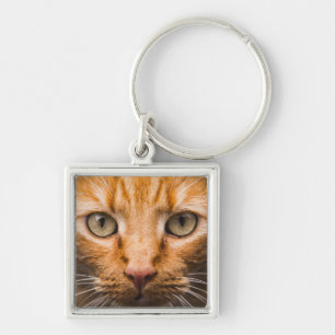 Chaveiro Corrente de chave Cat Estelar