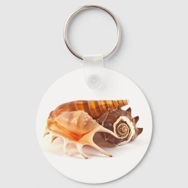 Chaveiro Corrente de Chave de Conchas (Frente)