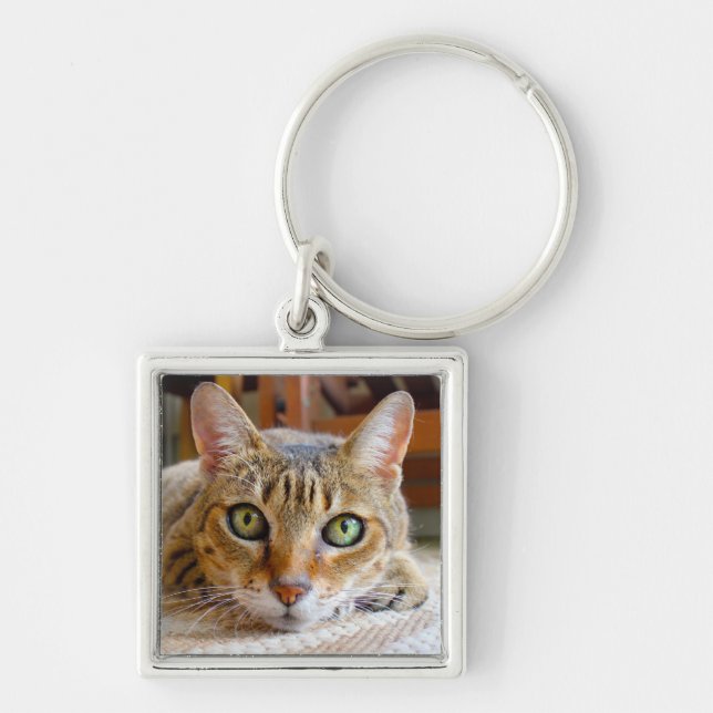 Chaveiro Corrente de chave de Gato Cortado (Frente)