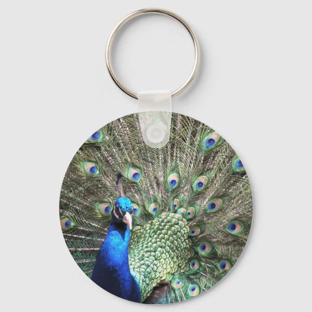 Chaveiro Corrente de chave Peacock (Frente)