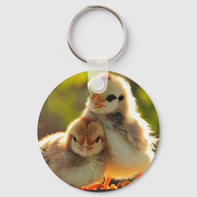 Chaveiro Correntes de chave única e de na moda (Frente)