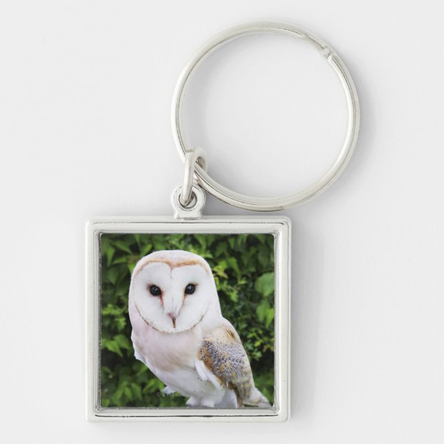Chaveiro Coruja de celeiro (Tyto alba) na luva (Frente)