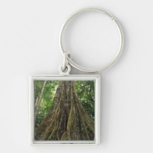 Chaveiro Costa Rica, Parque Nacional Corcovado, Suporte