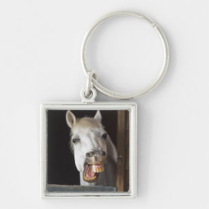 Chaveiro costela do benalamadena, malaga, Costa del Sol,