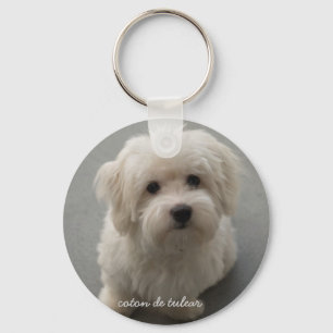 Chaveiro Coton de Tulear