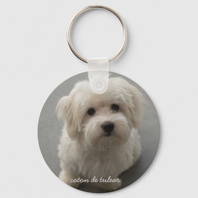 Chaveiro Coton de Tulear (Frente)