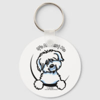 Coton de Tulear é tudo sobre mim