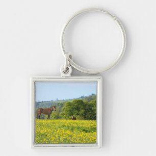 Chaveiro Cotswolds, Reino Unido