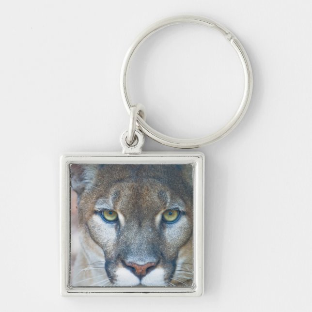 Chaveiro Cougar, leão da montanha, Puma da Flórida (Frente)