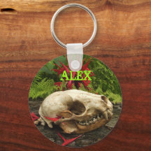 Crânio de Raccoon com samambaias e Monarda vermelh