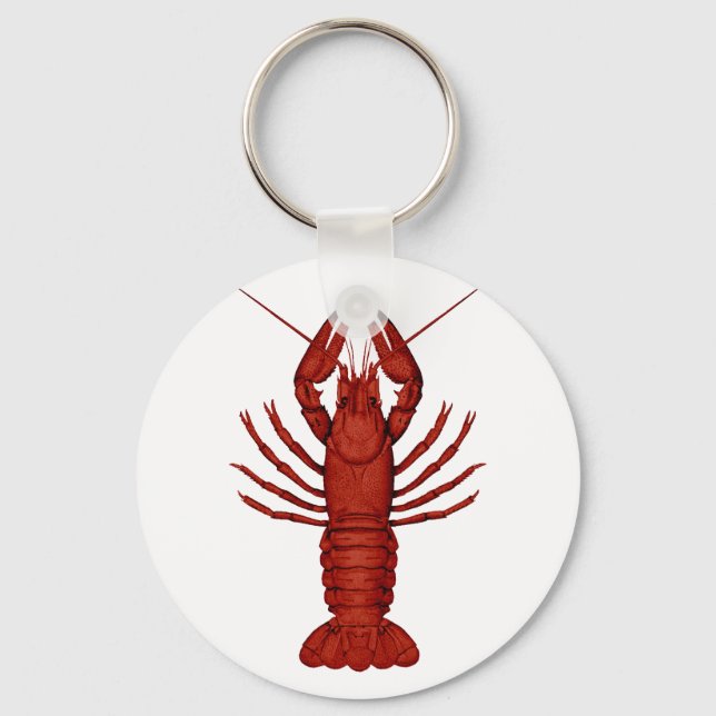 Chaveiro Crayfish (Frente)