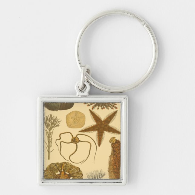 Chaveiro Criaturas do Mar Subaquático (Frente)