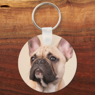 Chaveiro Crie Sua Própria Foto Personalizada de Animal de E