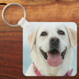 Chaveiro Crie Sua Própria Foto Personalizada de Animal de E