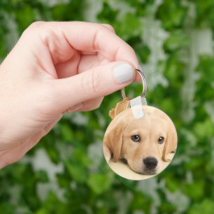 Chaveiro Crie Sua Própria Foto Personalizada de Animal de E