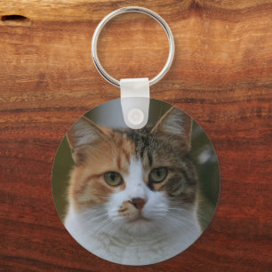 Chaveiro Crie Sua Própria Foto Personalizada de Gato de Est