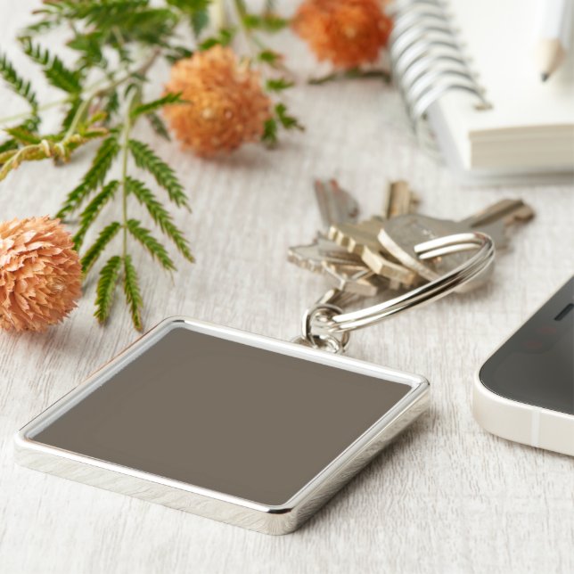 Chaveiro Crie um espaço Na moda com uma Parede Marrom e (Lateral)