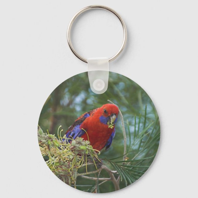 Chaveiro Crimson Rosella (Frente)