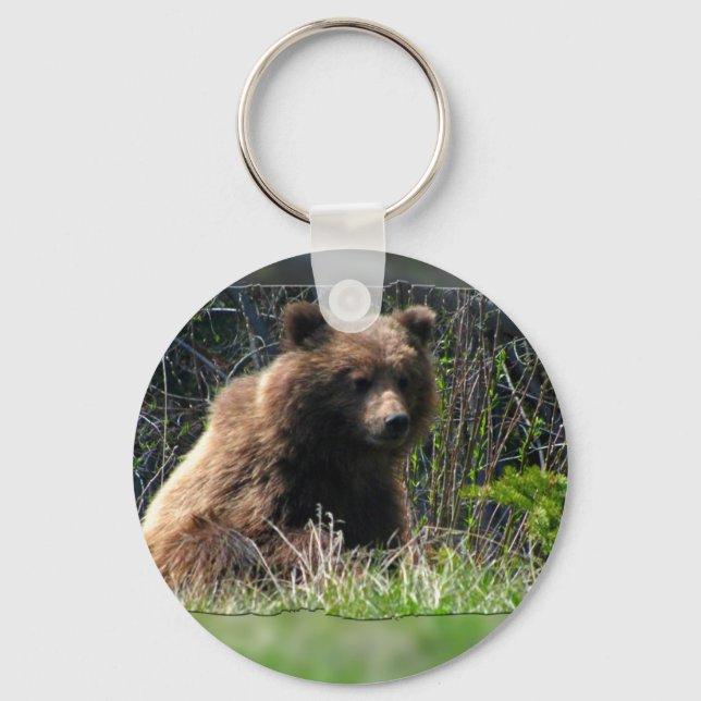 Chaveiro Cubo do Urso Grizzly (Frente)