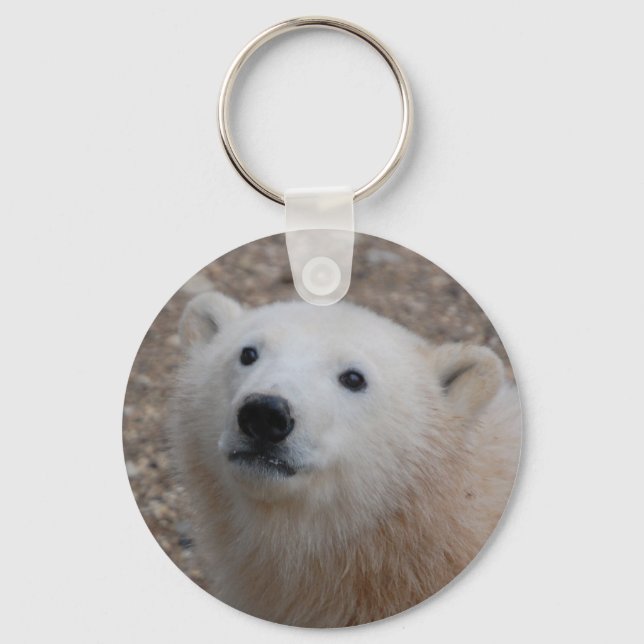 Chaveiro Cubo Polar Bear (Frente)